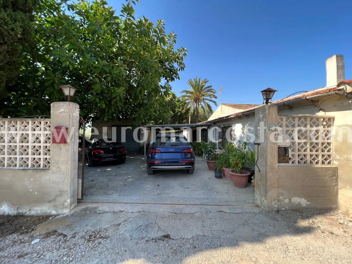 Exterior view of Country homes for sale in Elche / Elx  with Private garden and Furnished