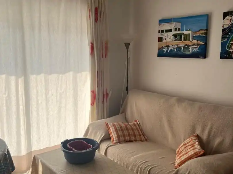 Apartment with pool for sale in Avenida Blasco Ibañez 20, imagen 5