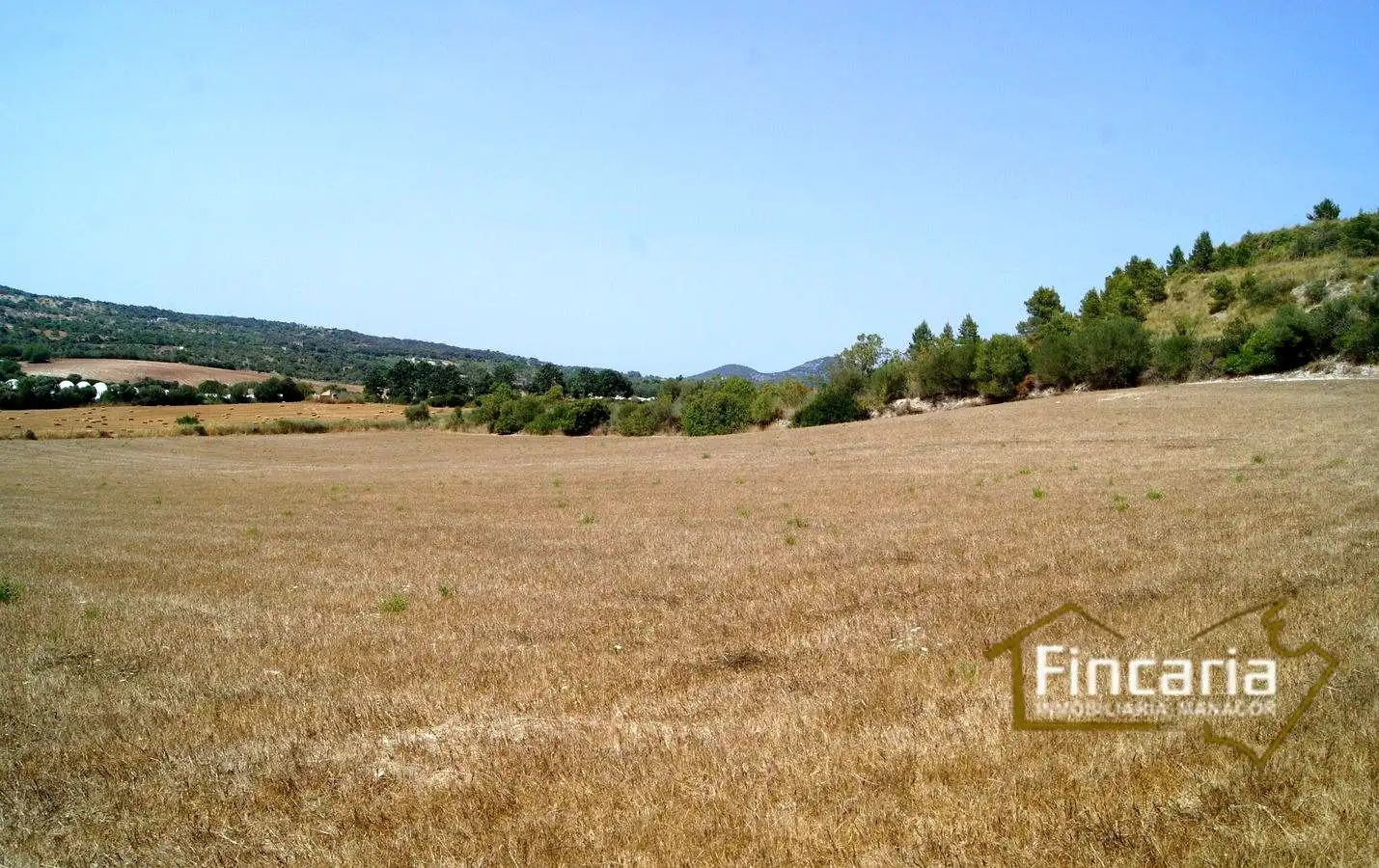 Terrenys i solars en venda a Camí de sa Murtera, imagen 13