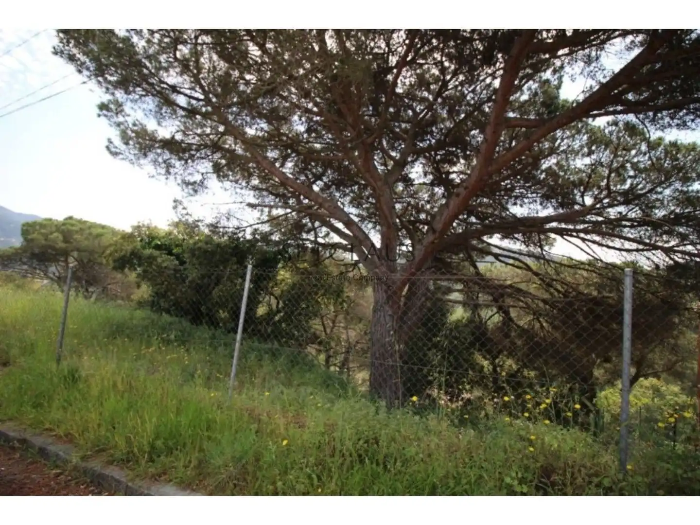 Terreno rústico en venta en Vallromanes, imagen 7