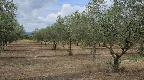 Photo 3 of Land for sale in Carrer Barcelona, Móra d'Ebre, Tarragona
