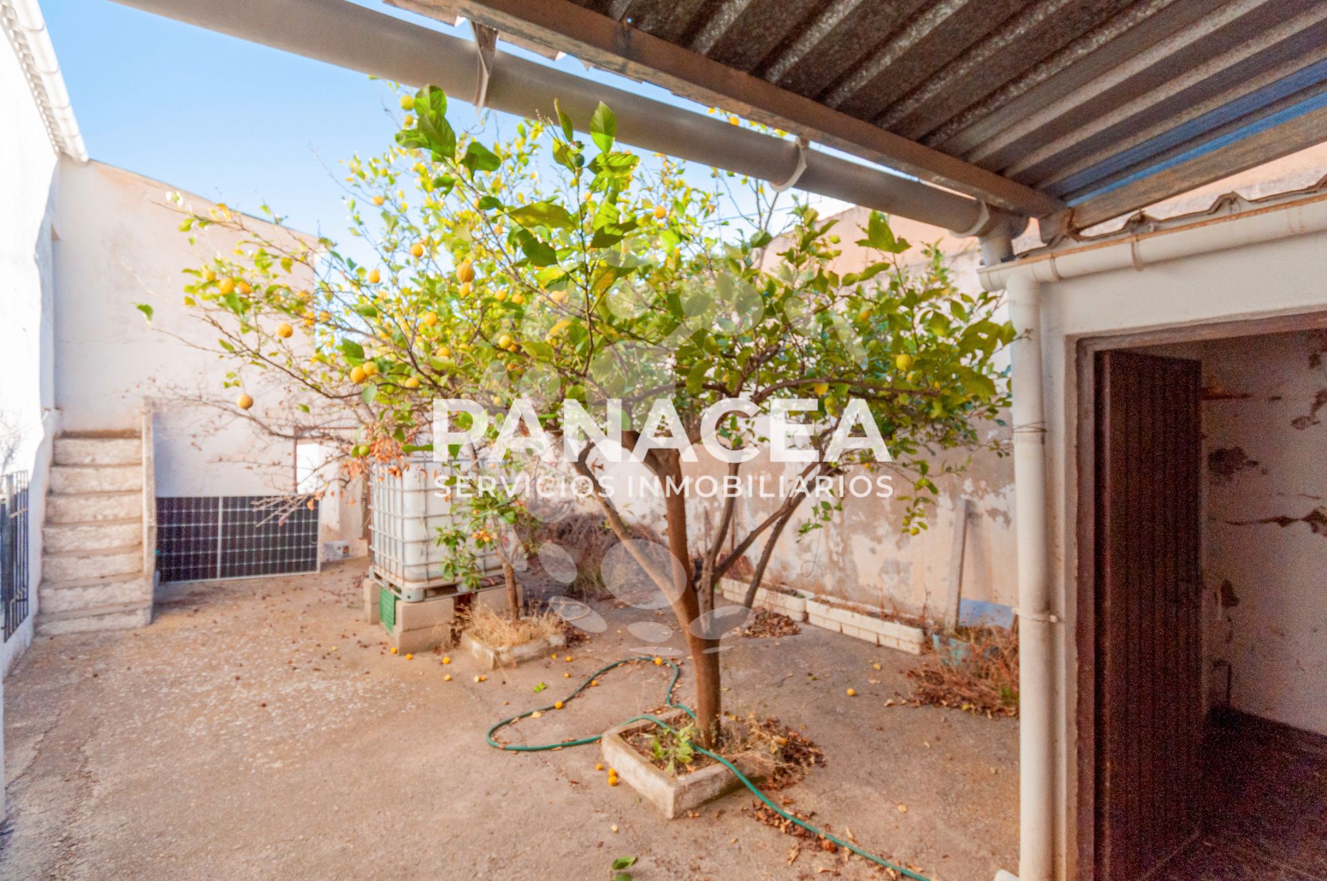 Jardí de Casa o xalet en venda en Albondón amb Jardí privat, Terrassa i Moblat