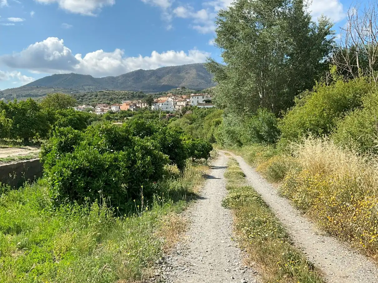 Terreni e lotti in vendita a Andalucia, imagen 14