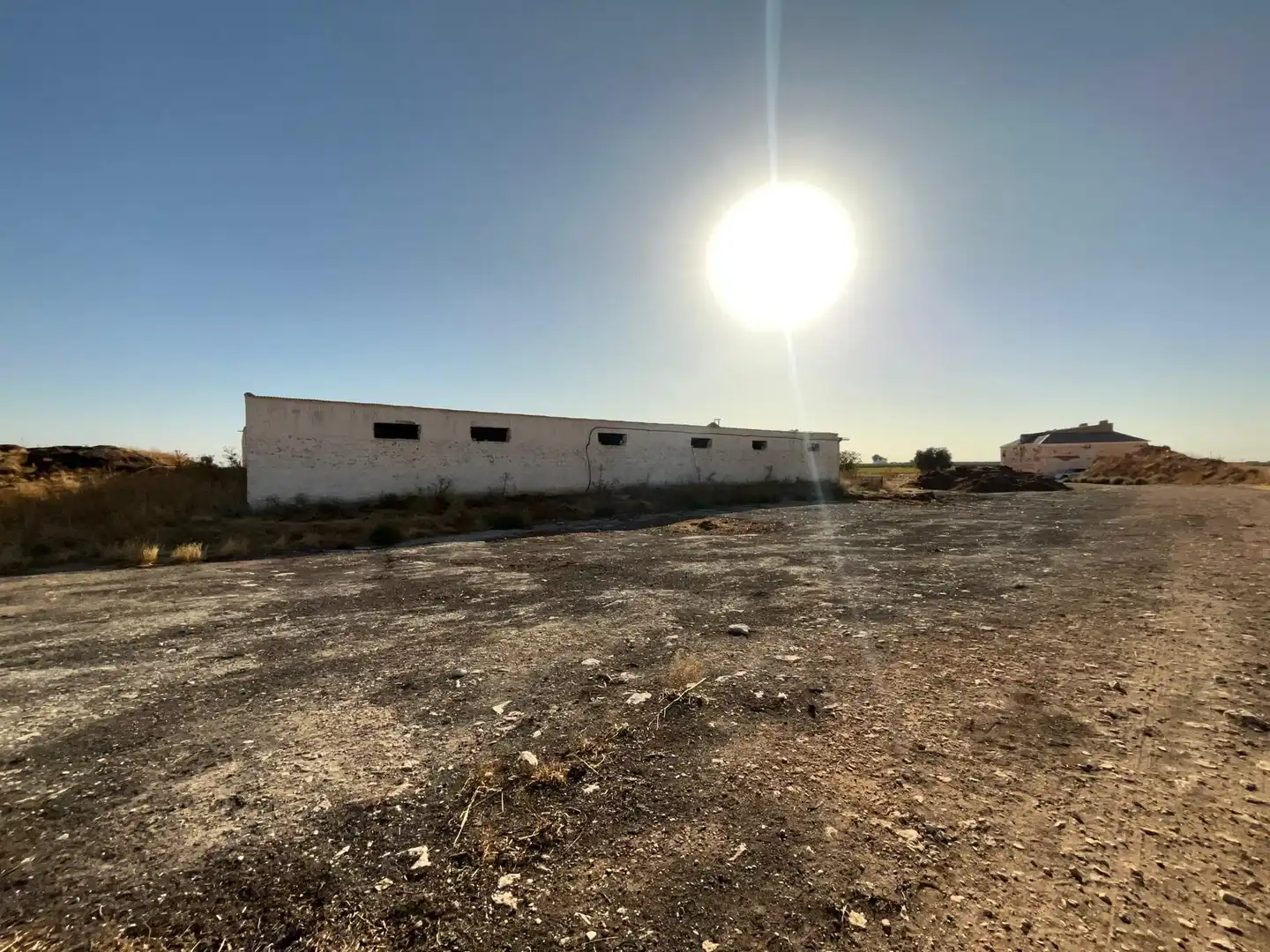 Exterior view of Industrial land for sale in La Solana  