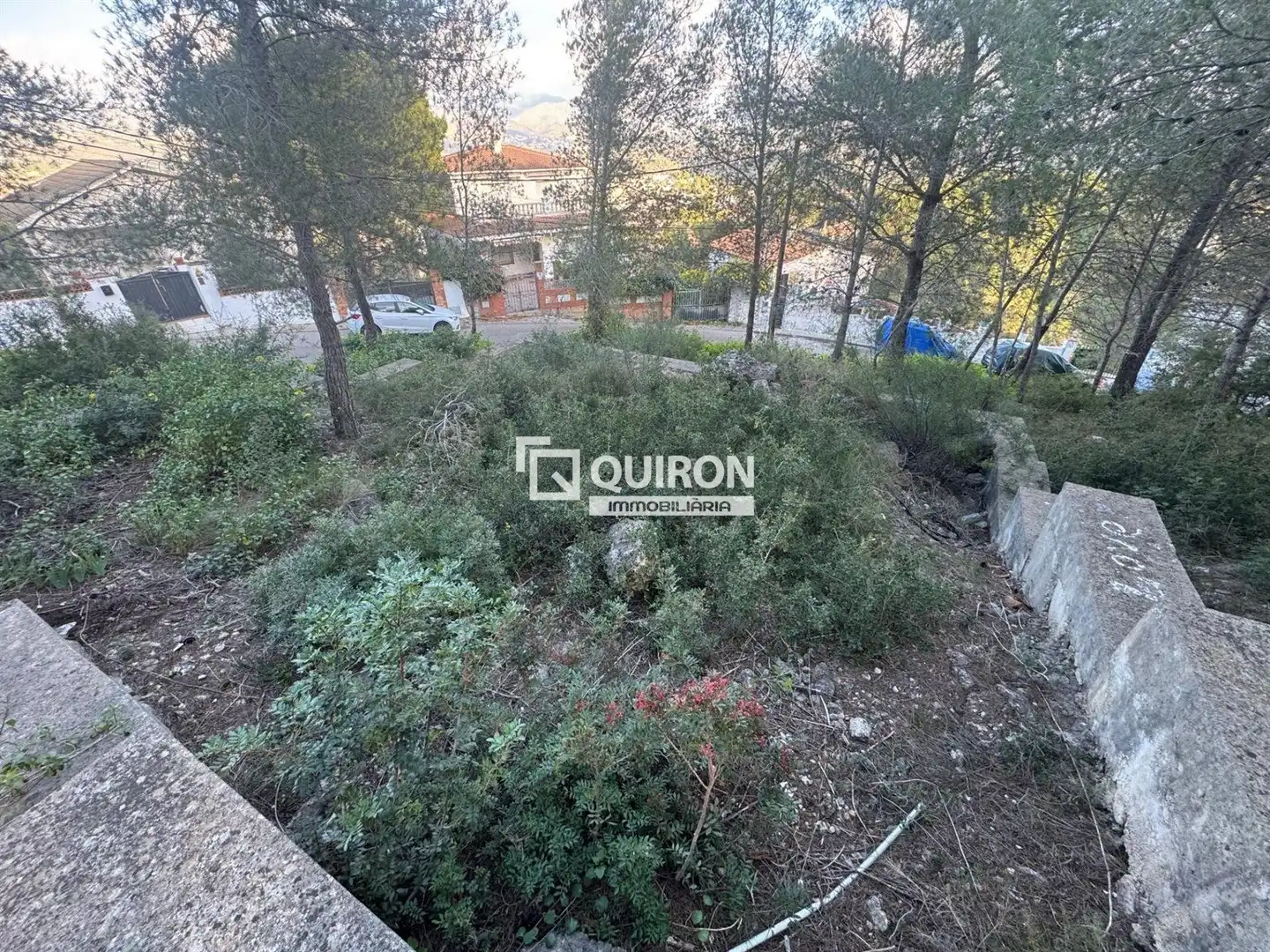 Terreno rustico in vendita a La Bisbal del Penedès, imagen 6