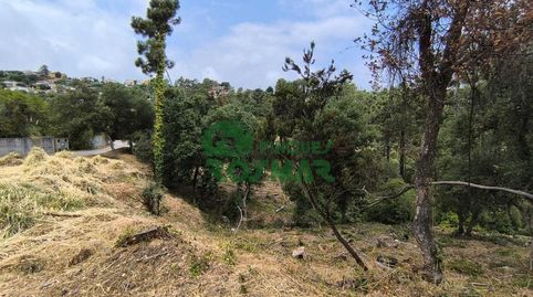 LOTE DE 10 PARCELAS EN LLORET BLAU, OPORTUNIDAD DE INVERSIÓN
