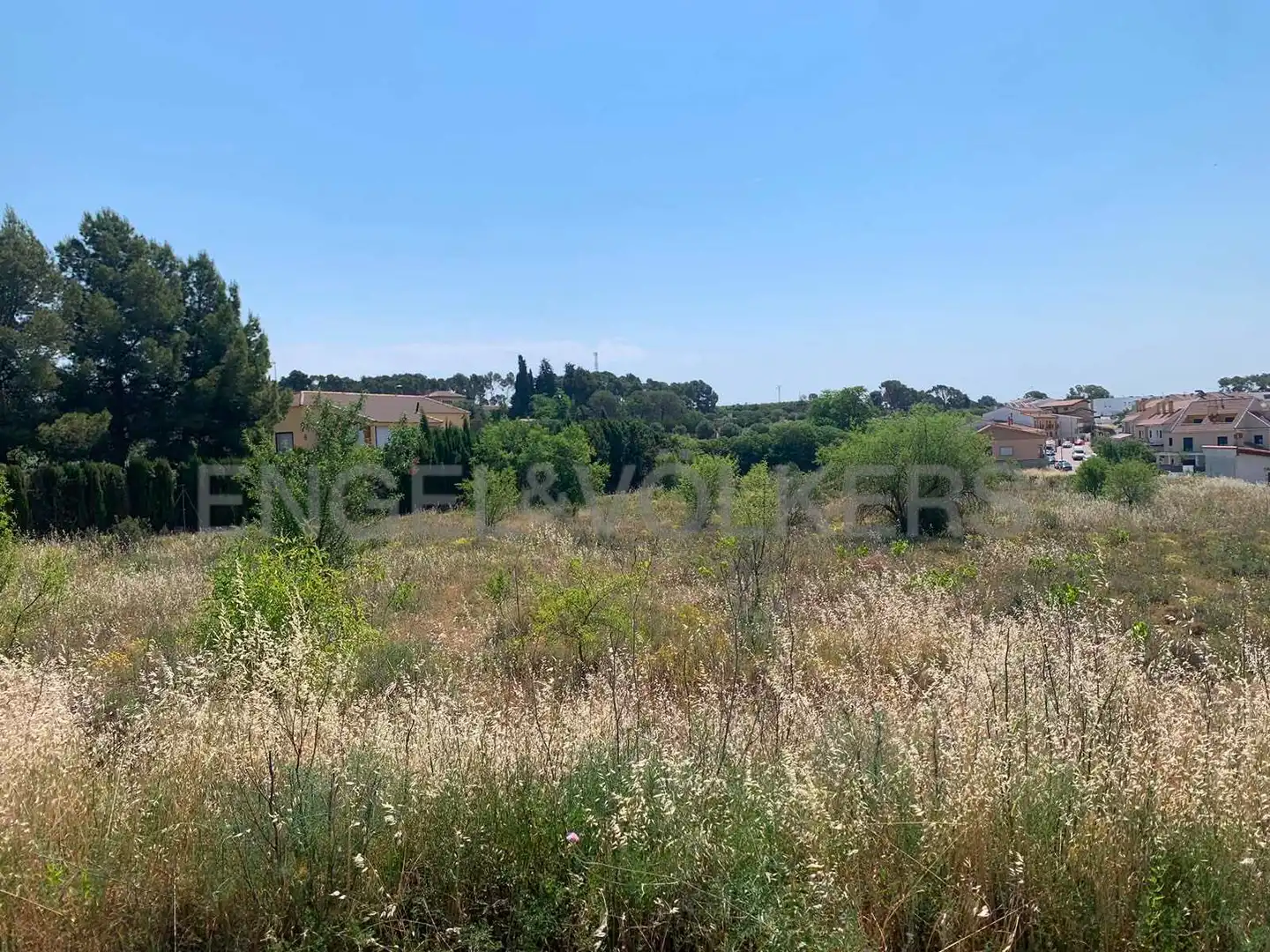 Terreny rústic en venda a Requena
