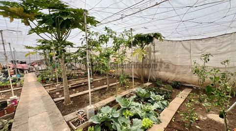 Foto 4 de Casa o xalet en venda a Garachico, Santa Cruz de Tenerife