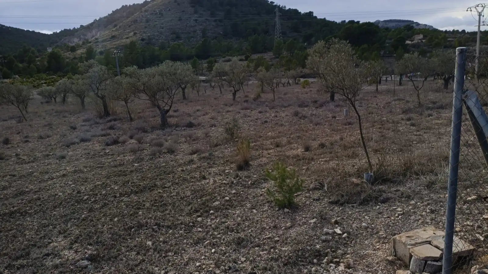 Rural land for sale in CV-799, imagen 5