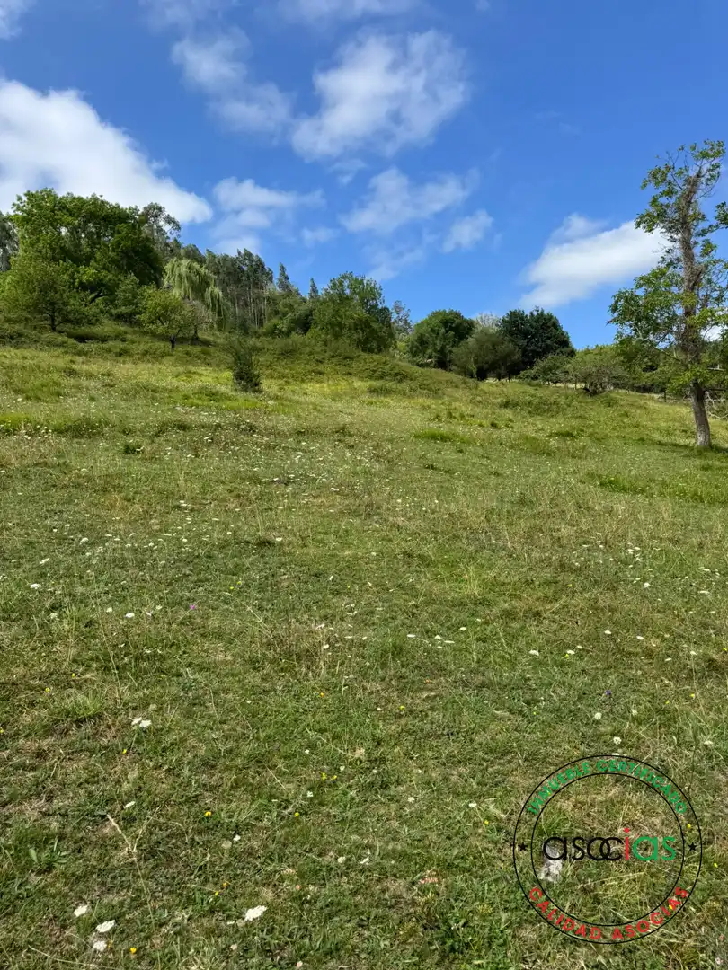 Terreny en venda en Villaviciosa