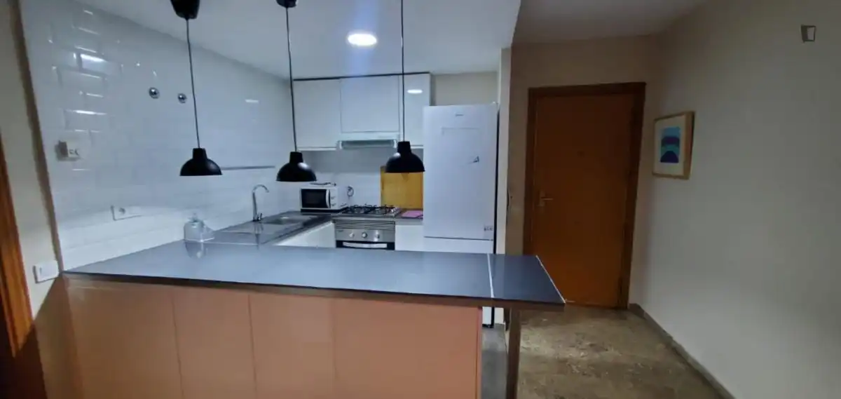 Apartments for rent in Ciutat de les Ciències i de les Arts - Justicia