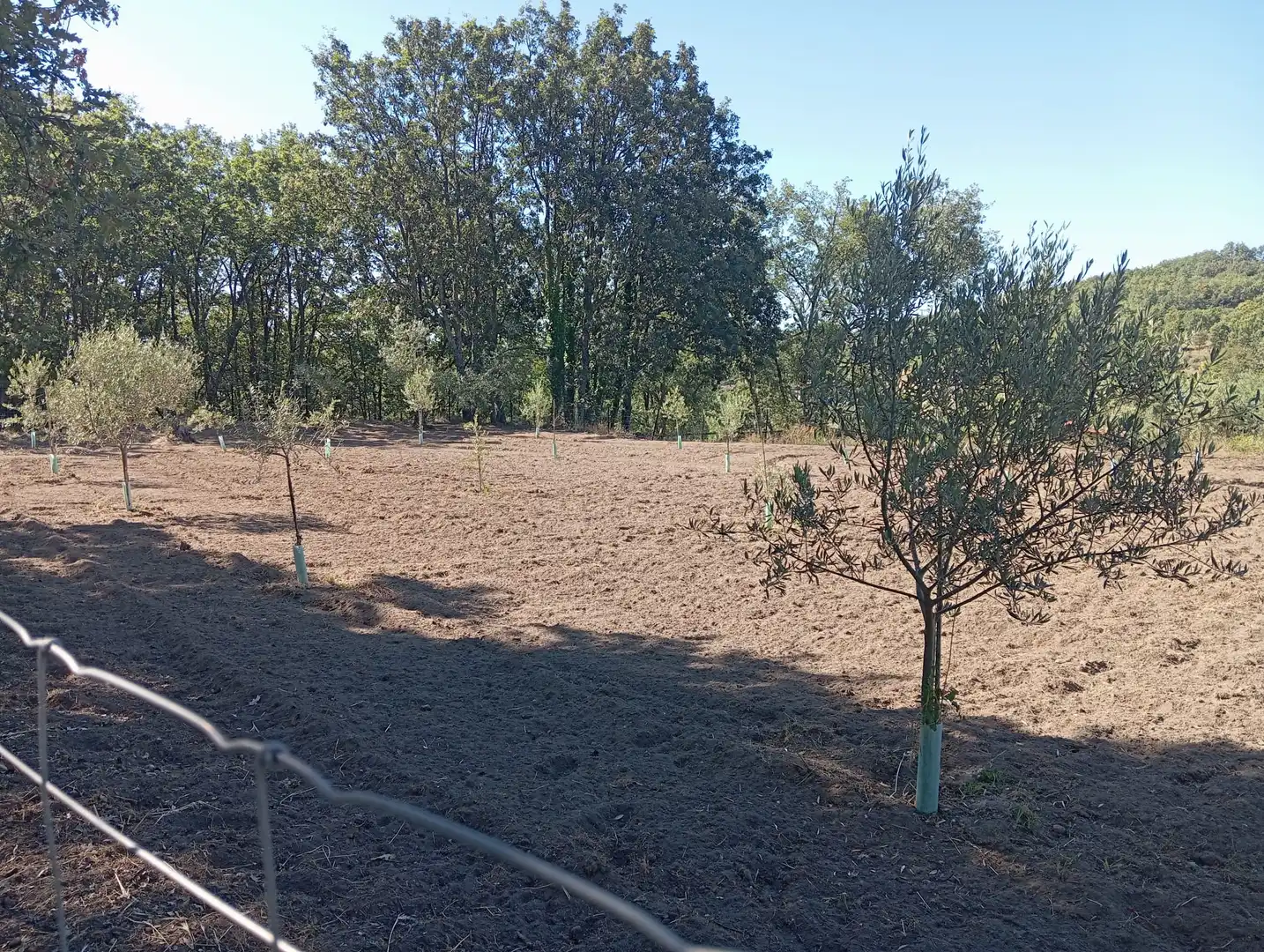 Terreni e lotti in vendita a Jarandilla de la Vera, imagen 5