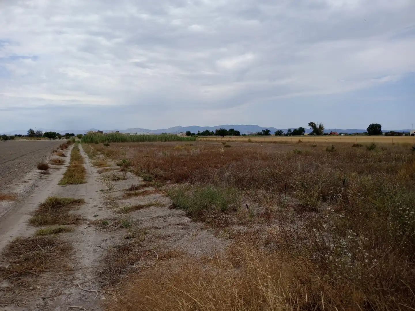 Terreno industrial en venta en Formentera del Segura