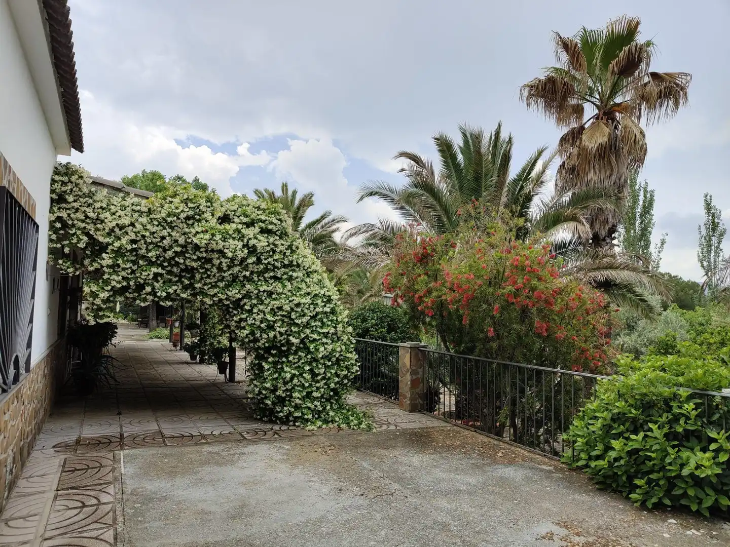 Jardín de Casa o chalet en venta en Brazatortas con Aire acondicionado, Calefacción y Jardín privado