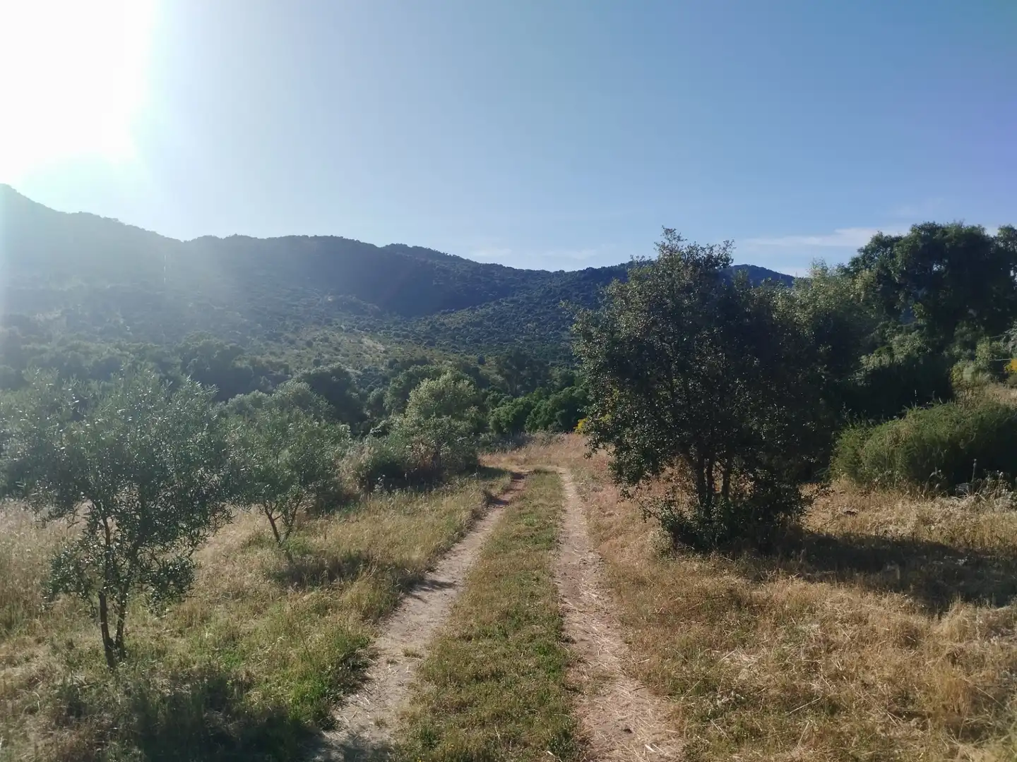 Terreno rustico in vendita a Burguillos del Cerro, imagen 8