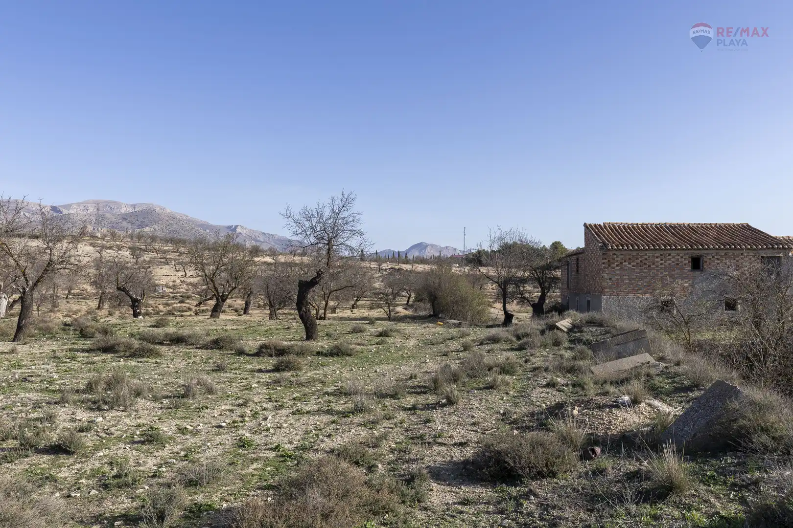 Rural land for sale in Paraje el Vivero 1, imagen 16