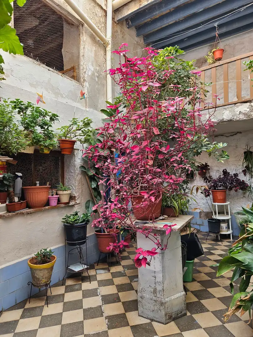 Terraza de Casa adosada en venta en Monóvar  / Monòver con Aire acondicionado, Calefacción y Jardín privado