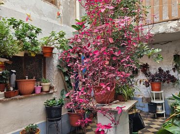 Casa a schiera con giardino in vendita a Monóvar  / Monòver
