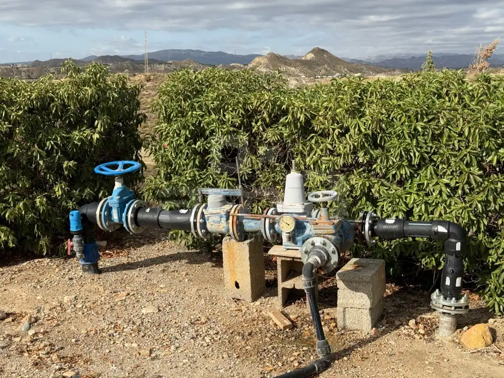 Casa o xalet en venda a Las Cunas - La Algarrobina