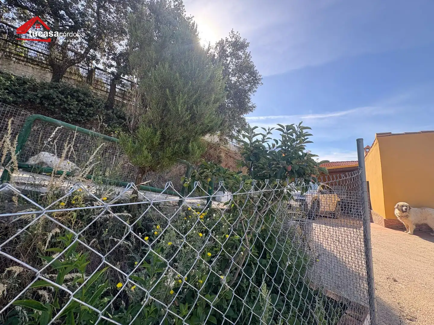 Garden of Country homes for sale in Córdoba  with Air Conditioner, Terrace and Storage room