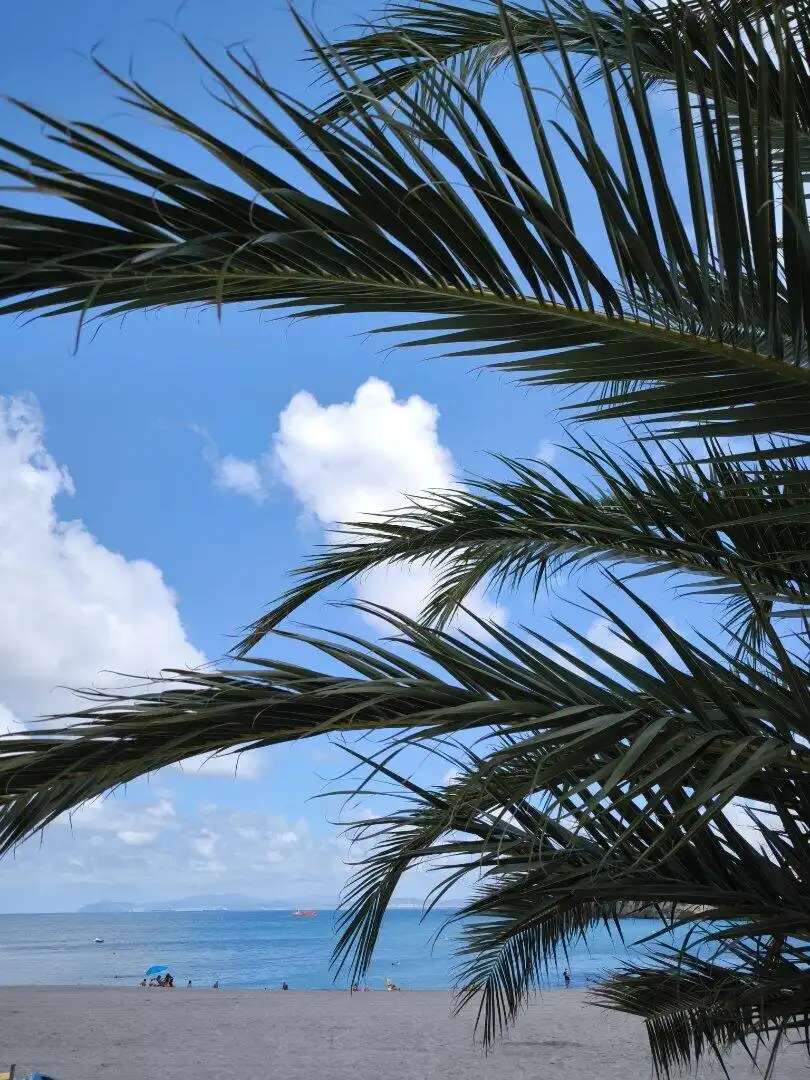 Flat with lift for sale in Playa Ostende, imagen 29