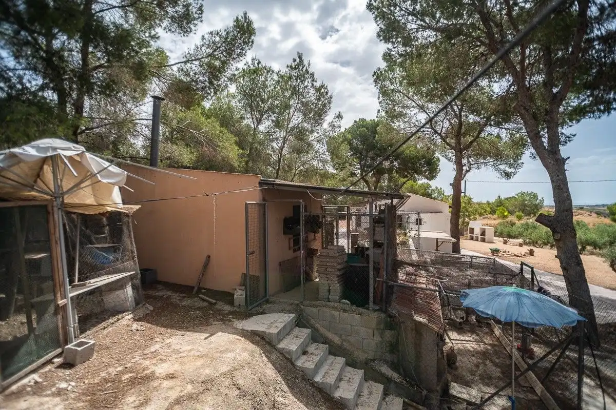 Vista exterior de Casa o xalet en venda en Murcia amb Calefacció, Jardí privat i Terrassa