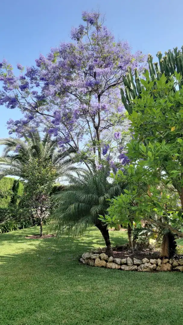 Jardín de Piso en venta en Marbella con Aire acondicionado, Terraza y Amueblado