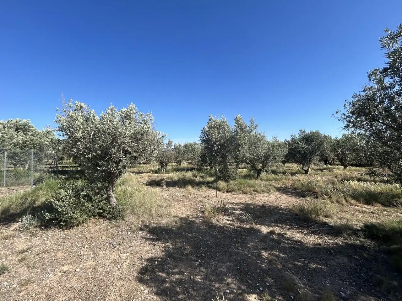 Finca rústica en venta en Ablitas