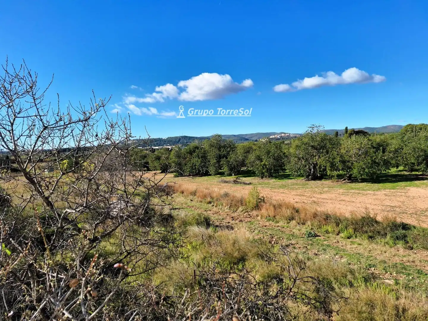 Casa o chalet en venta en Polígono 5, La Franquesa - Oasis Park