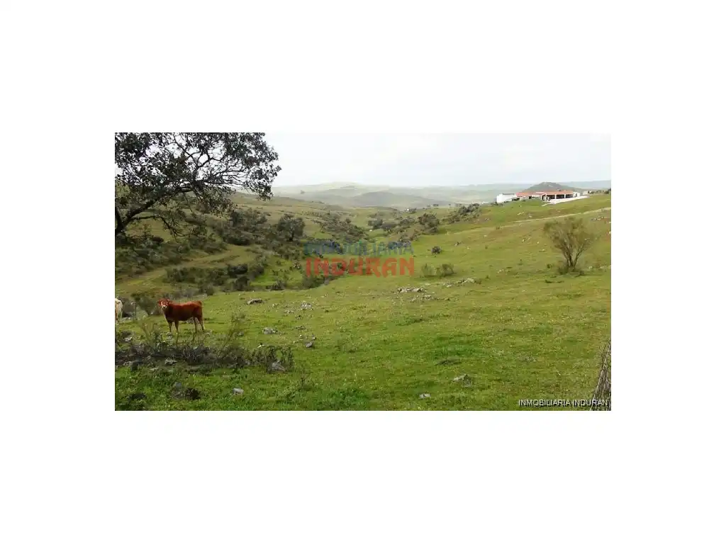 Casa o chalet en venta en Montemolín