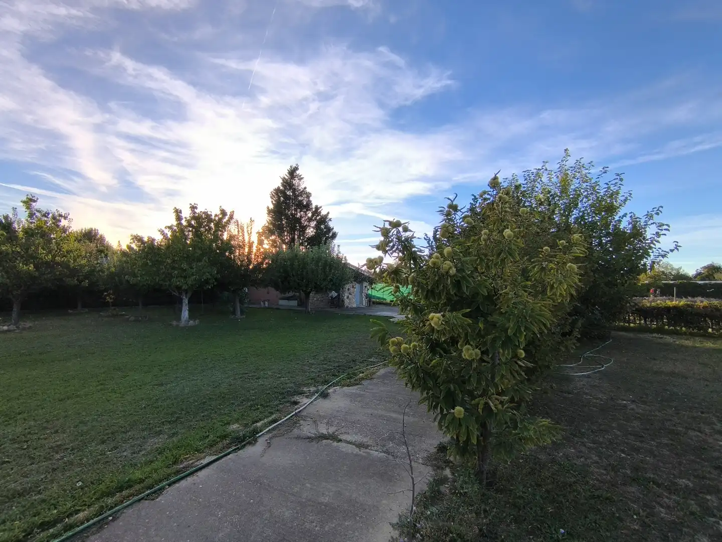 Country house with garden for sale in Urbanización Bota 2 8, imagen 72