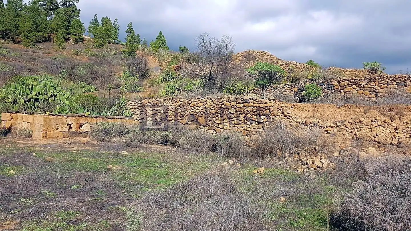 Country homes for sale in Granadilla de Abona  with Private garden