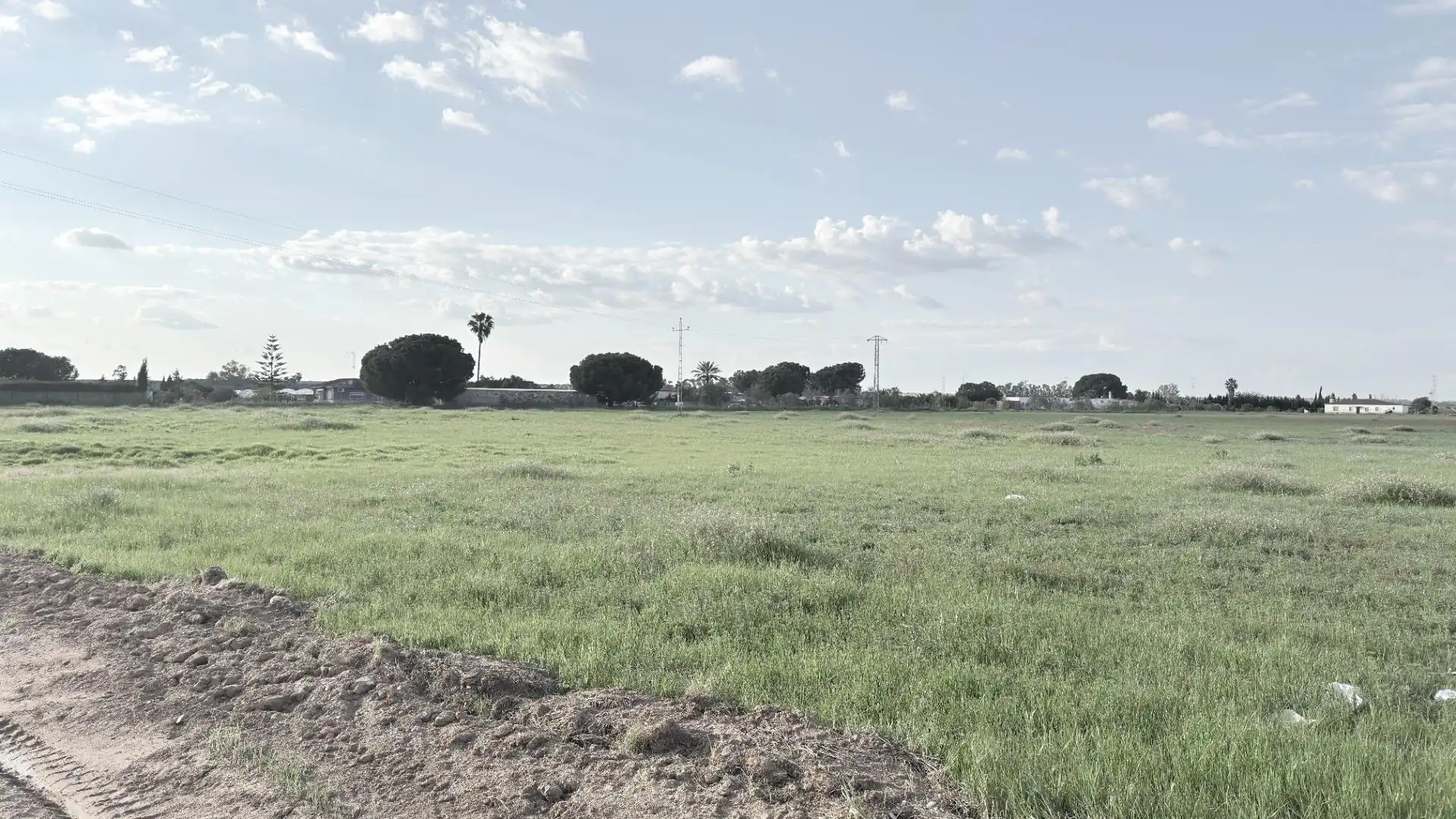 Terrenos y solares en venta en Gibraleón, imagen 7