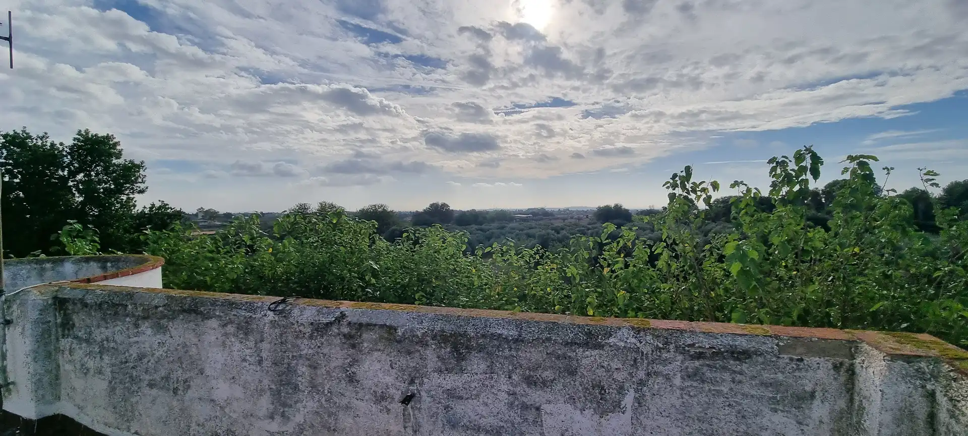Finca rústica en venta en Vial Camino, Riudoms