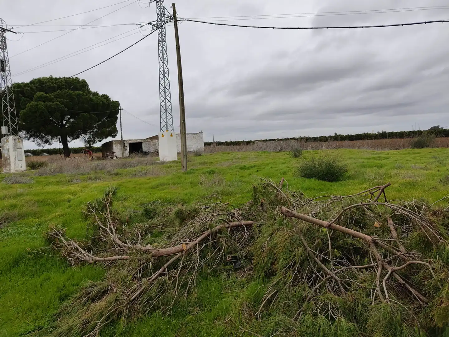 Nau industrial en venda en Utrera