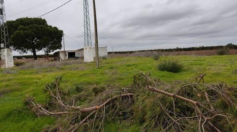 Photo 5 of Industrial buildings for sale in Pedanías Norte, Utrera