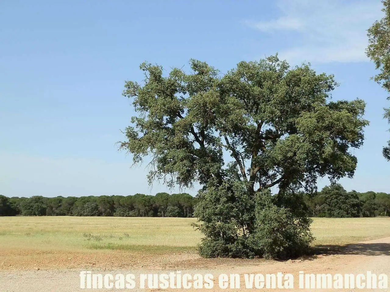 Terreni e lotti in vendita a Pozoamargo, imagen 10