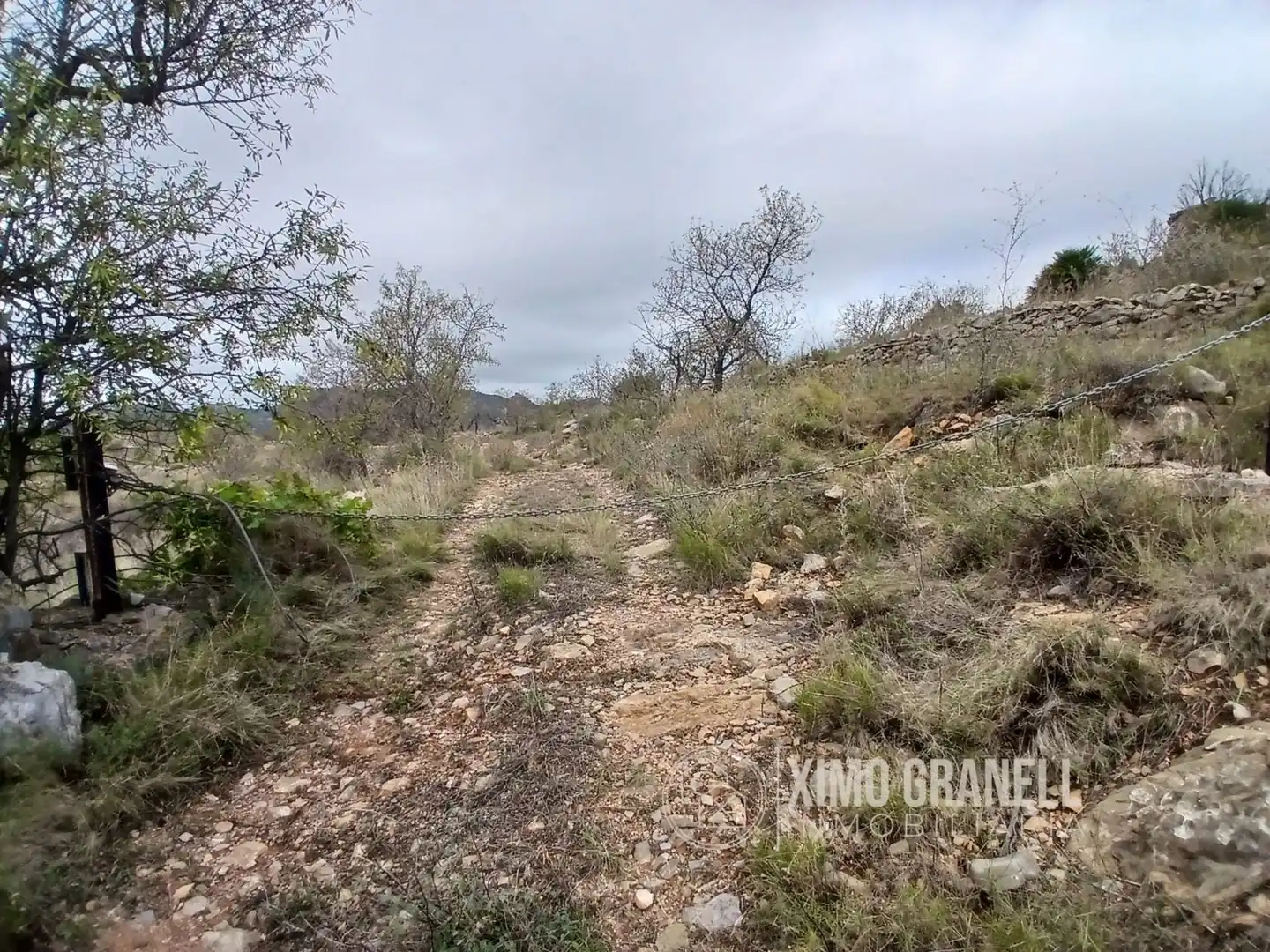 Terreny rústic en venda a La Vall d'Uixó, imagen 6