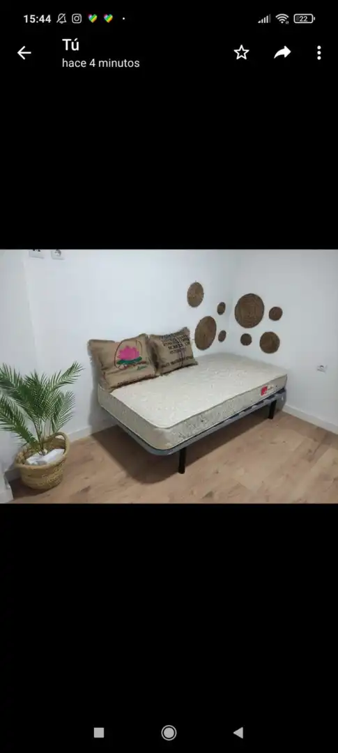 Bedroom of Flat for rent in Elche / Elx  with Furnished