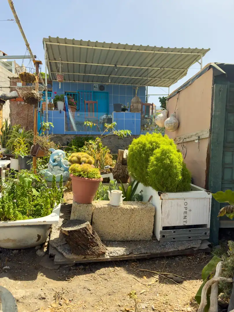 Jardí de Finca rústica en venda en Guía de Isora