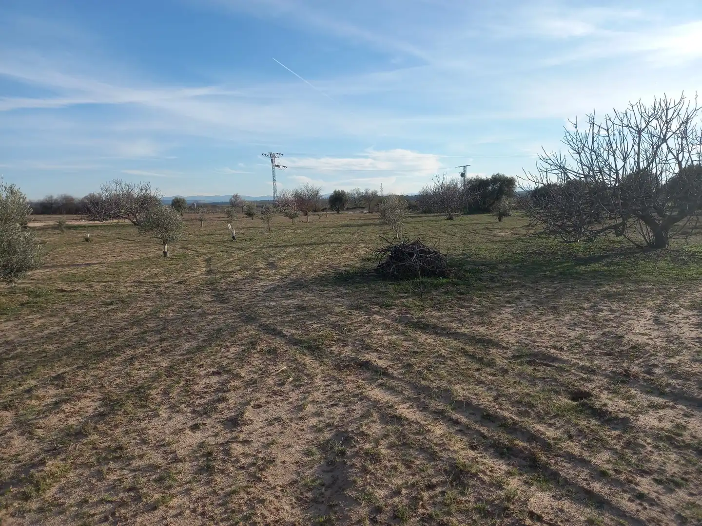 Rural land for sale in Cebolla, imagen 4
