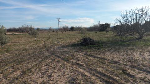 Photo 4 of Land for sale in Cebolla, Toledo