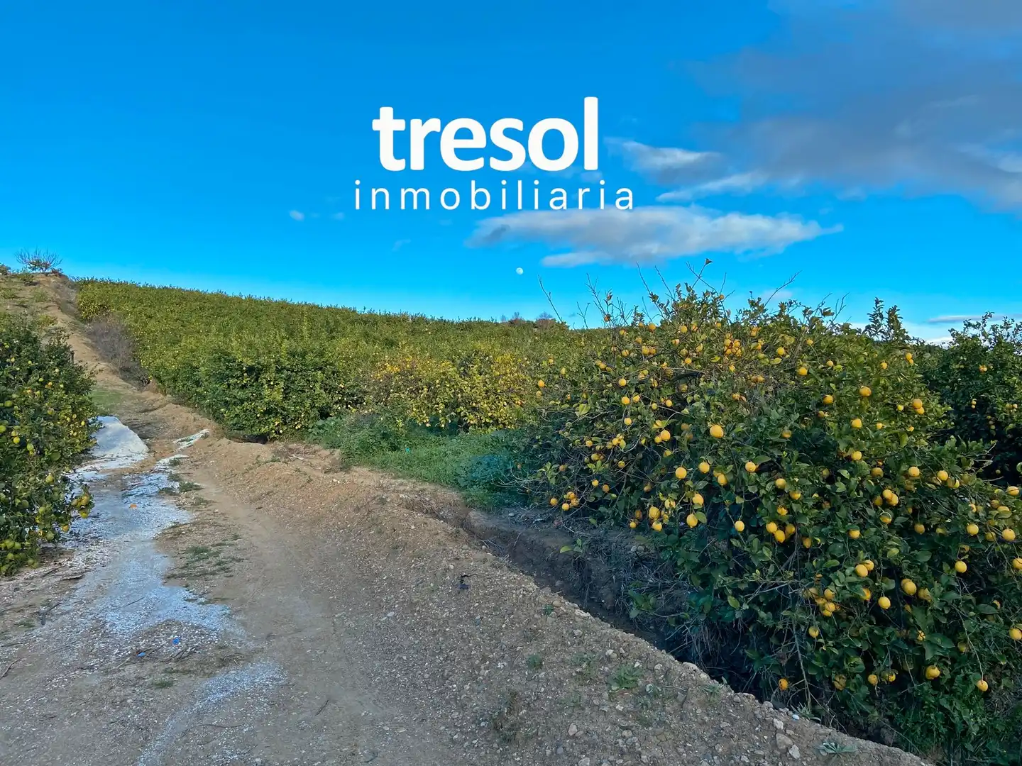 Terreno rustico in vendita a Centro, imagen 4