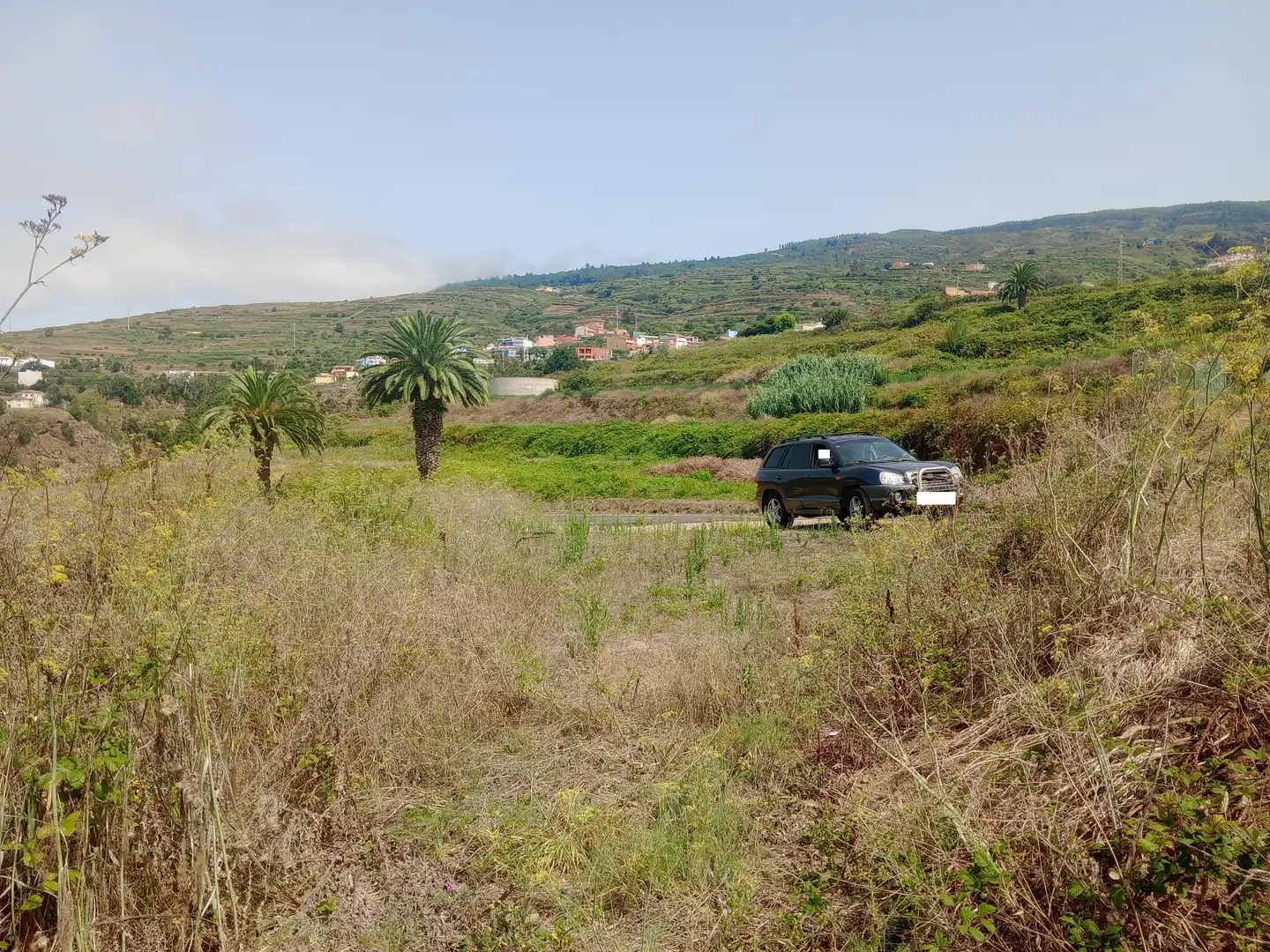 Terreny rústic en venda a Carretera General Ochocientos Veinte 76, imagen 12
