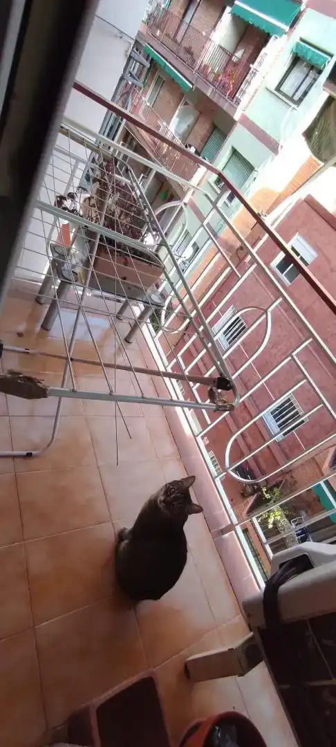 Terrassa de Pis en venda en  Barcelona Capital amb Aire condicionat i Balcó