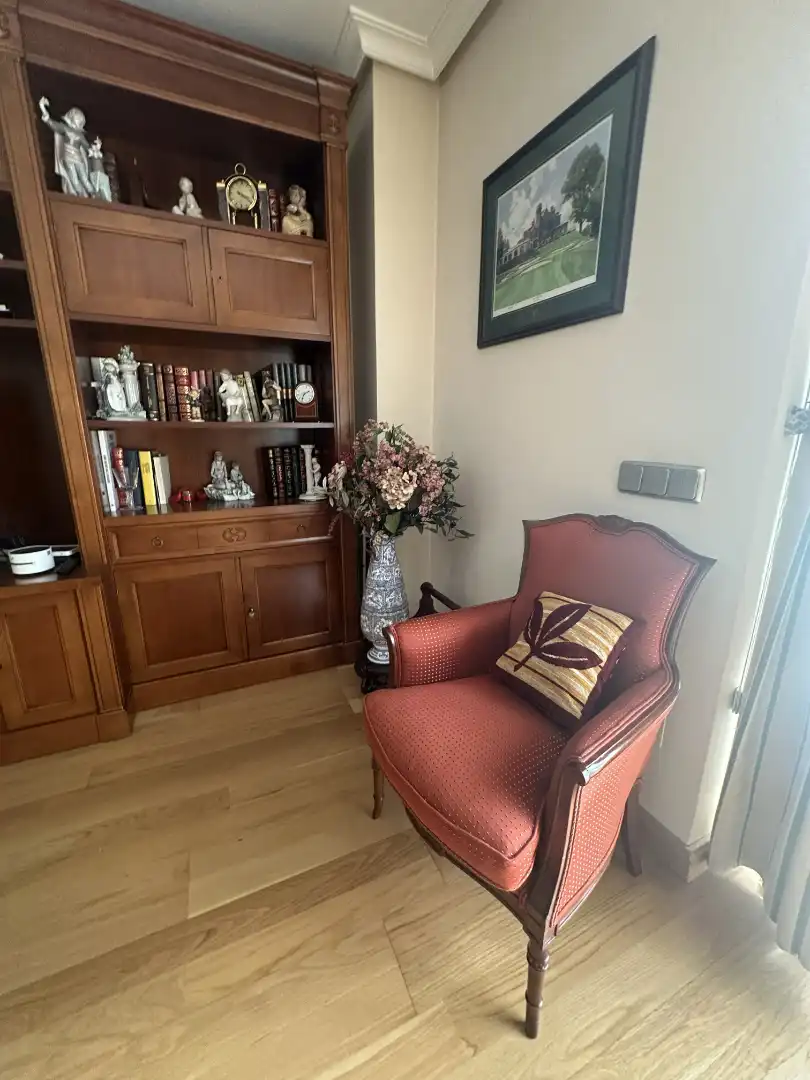 Sala d'estar de Pis en venda en Madrid amb Aire condicionat, Calefacció i Jardí privat