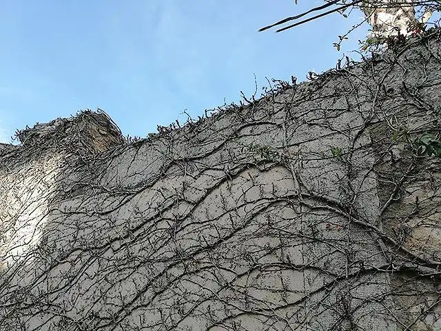 Grundstücke und Bauplätze zum Verkauf in Consuelo Gavaldà, imagen 4