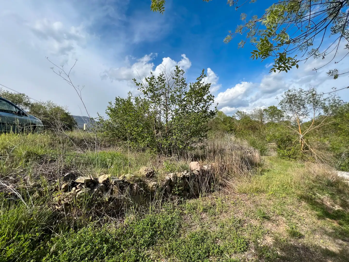 Rural land for sale in Cornudella de Montsant, imagen 8