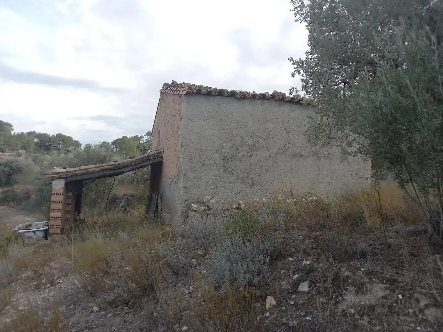 Rural land for sale in Benissanet, imagen 18