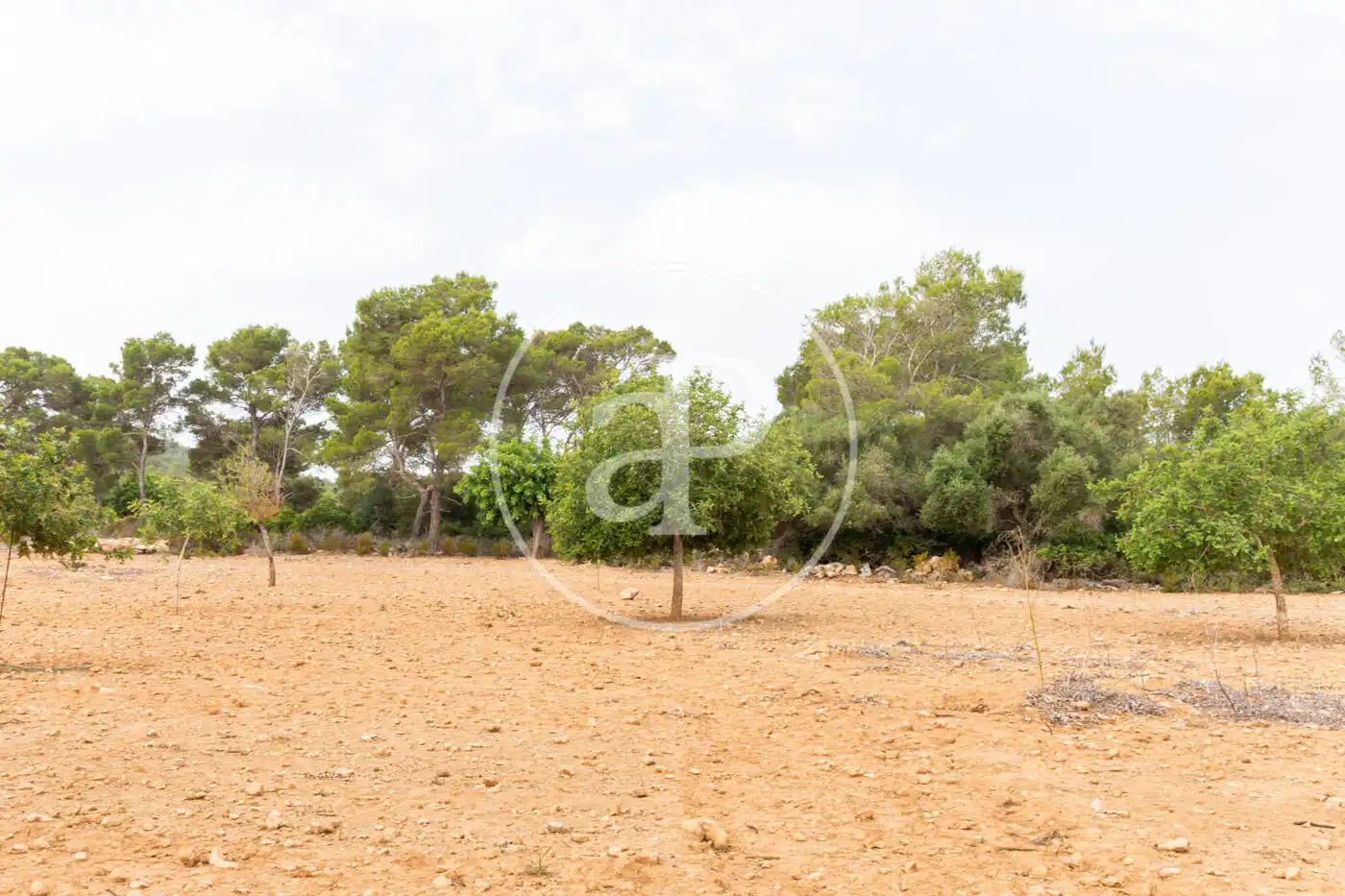 Terreno residenziale in vendita a Cami de.'s Presos, imagen 18